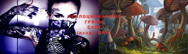 бошки Сосновка