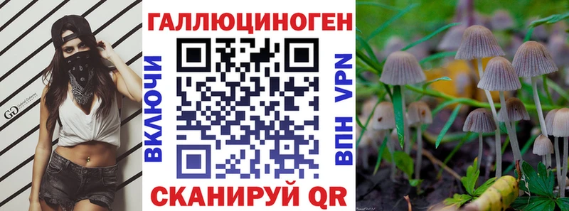 Купить  Спасск-Рязанский  Псилоцибиновые грибы MAGIC MUSHROOMS 